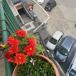 Myhomeinrome - Zona Re Di Roma