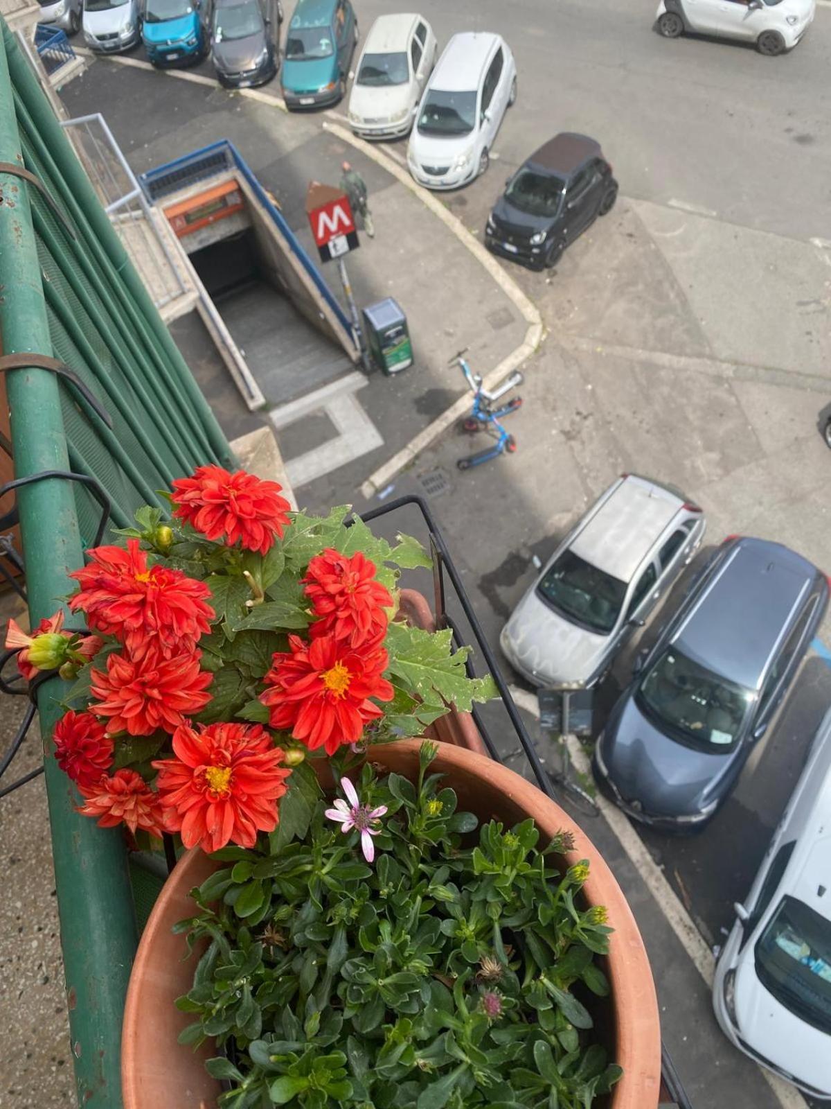 Myhomeinrome - Zona Re Di Apartamento Roma